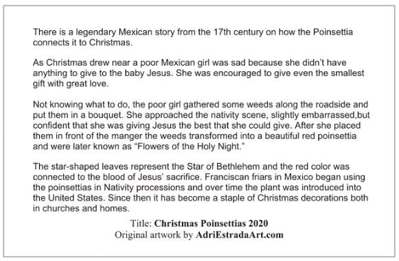 Christmas Card 2020 - Poinsettias w/Story